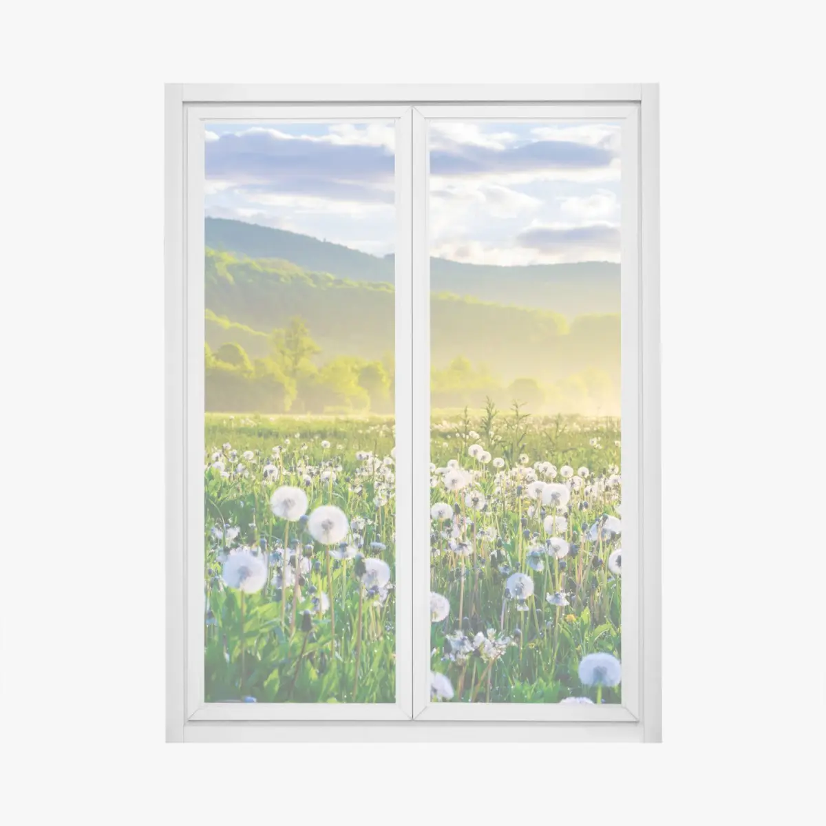 Fensteraufkleber neblige löwenzahnwiese im sonnenaufgang – Pixers®