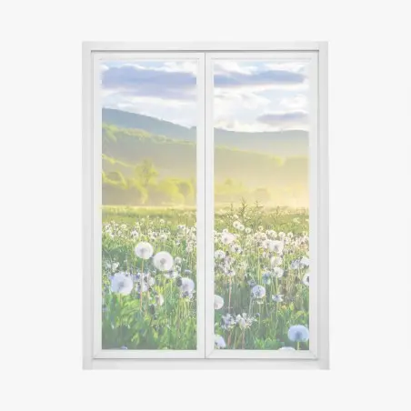 Fensteraufkleber neblige löwenzahnwiese im sonnenaufgang – Pixers®