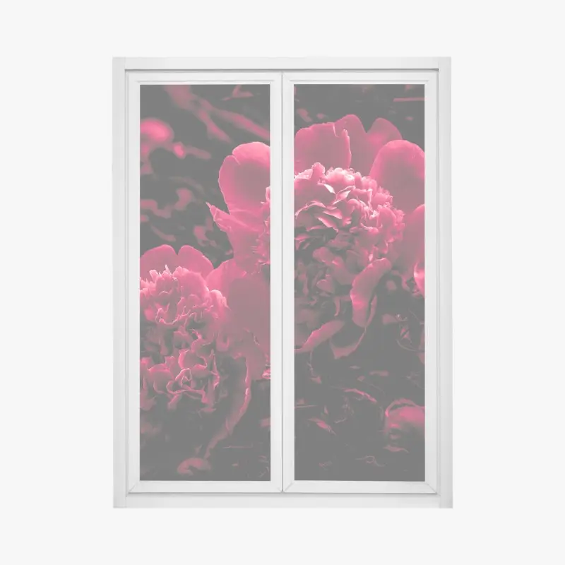 Fensteraufkleber stimmungsvolle rosa pfingstrosen