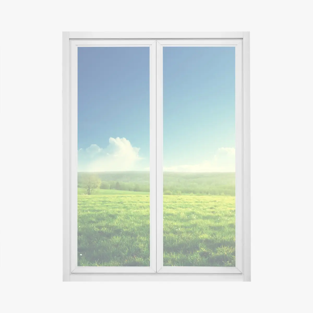Fensteraufkleber sonnige frühlingswiese im abendlicht – Pixers®
