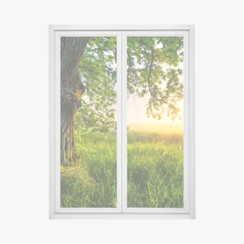 Fensteraufkleber morgendliche eiche auf sonnenbeschienener wiese