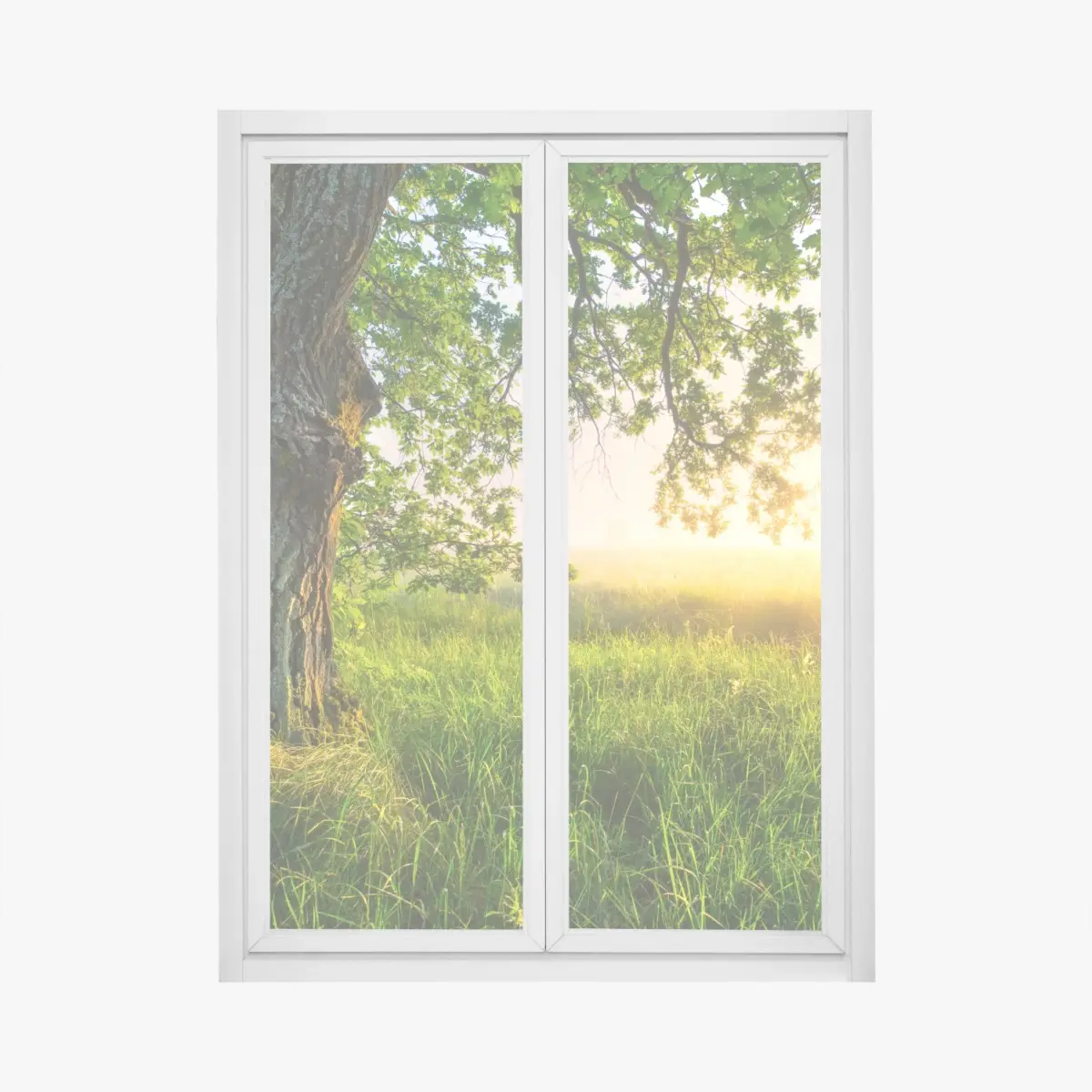 Fensteraufkleber morgendliche eiche auf sonnenbeschienener wiese – Pixers®