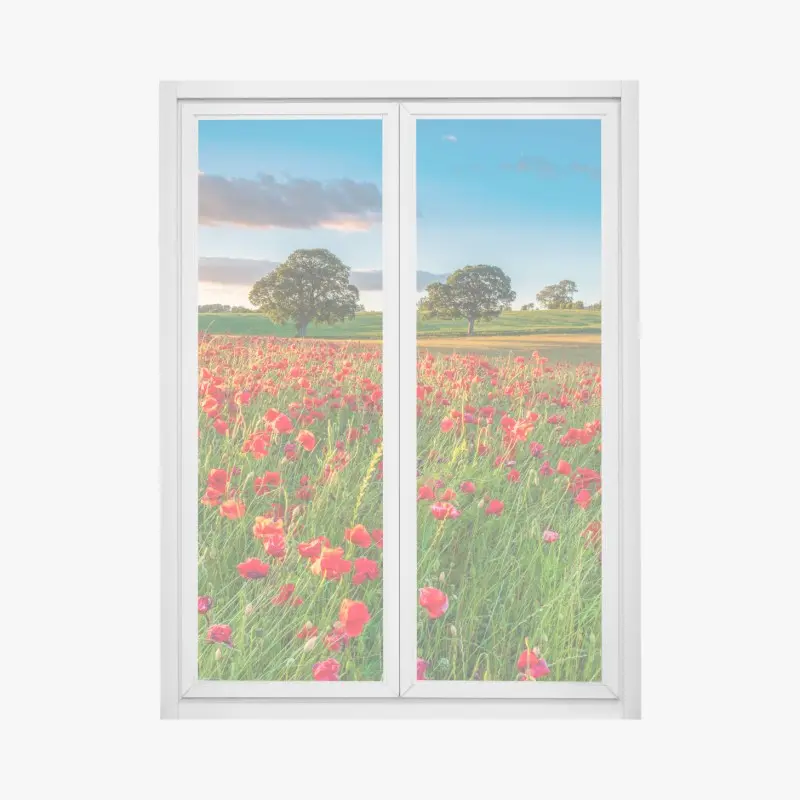 Fensteraufkleber rotes mohnfeld bei Corbridge