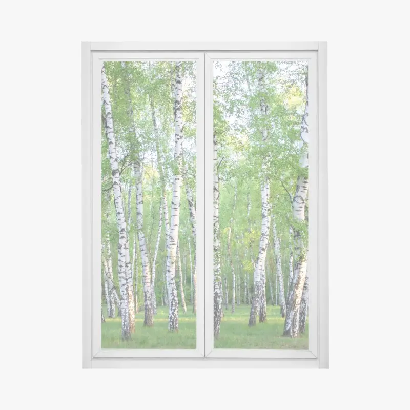 Fensteraufkleber ruhiger birkenhain im sommer