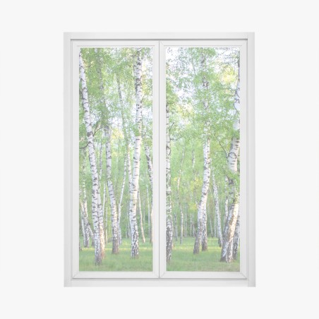 Fensteraufkleber ruhiger birkenhain im sommer – Pixers®