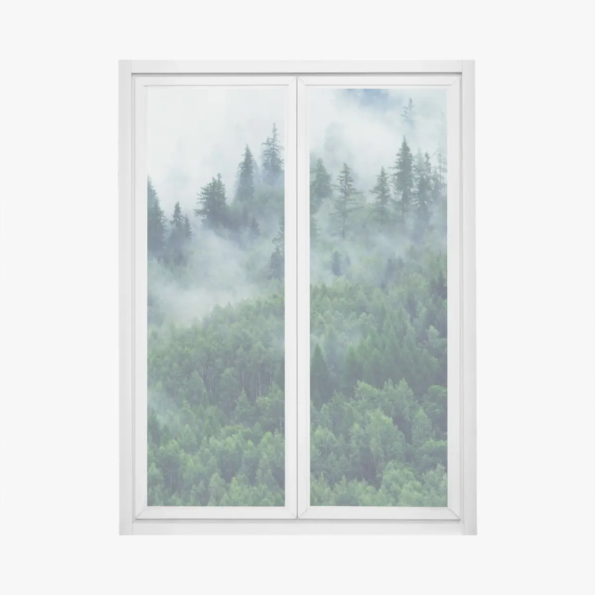 Fensteraufkleber nebliger grüner wald – Pixers®
