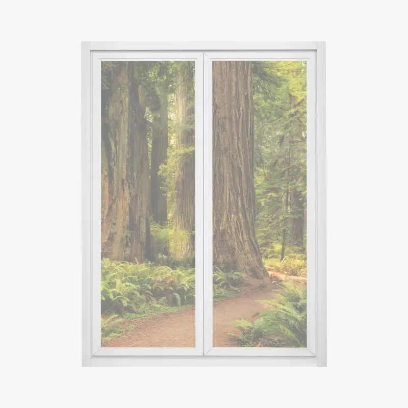 Fensteraufkleber Kalifornien mammutbäume waldweg