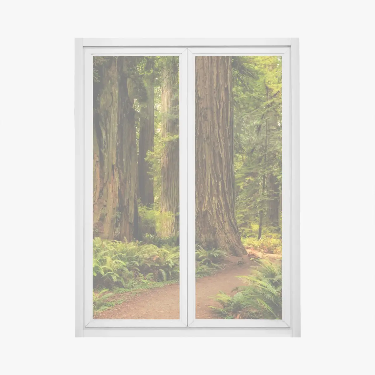 Fensteraufkleber Kalifornien mammutbäume waldweg – Pixers®