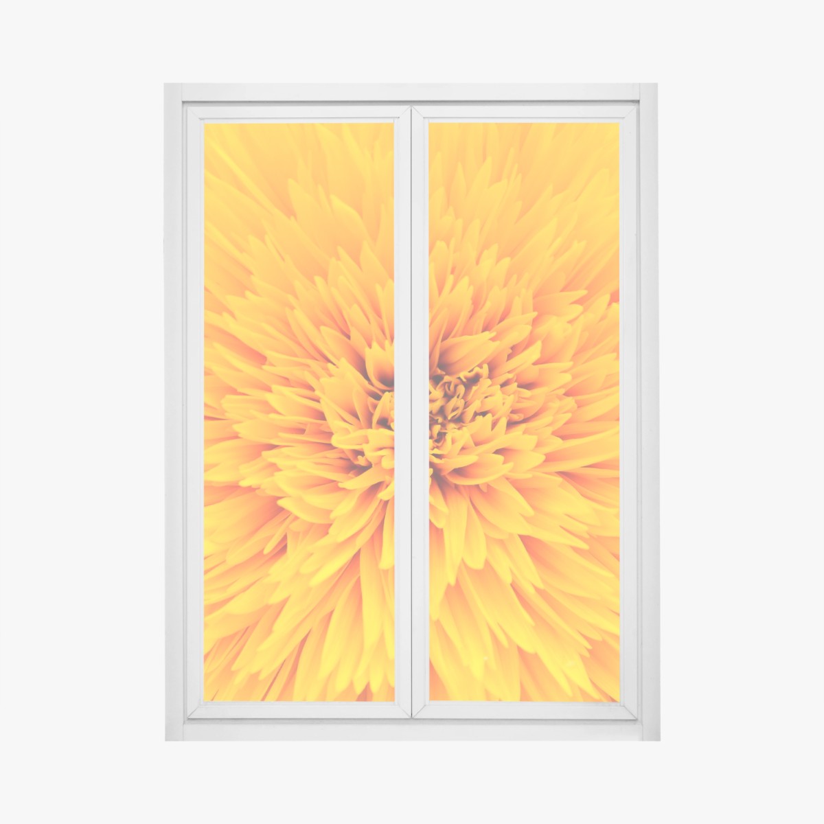 Fensteraufkleber strahlende sonnenblume nahaufnahme – Pixers®