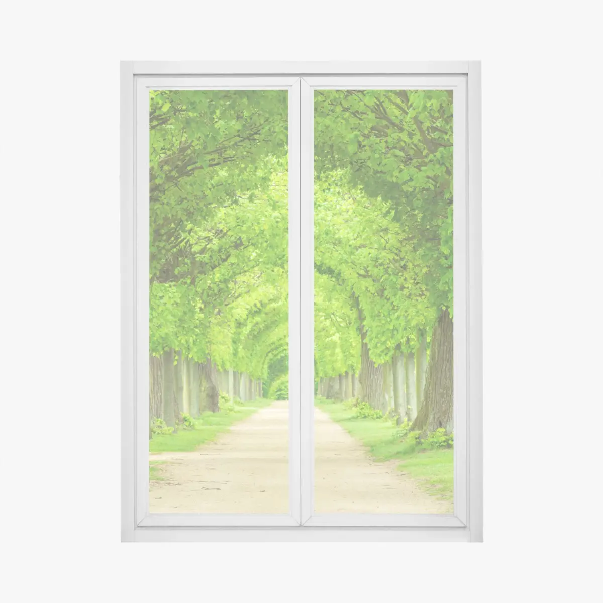 Fensteraufkleber grüner baumtunnel – Pixers®