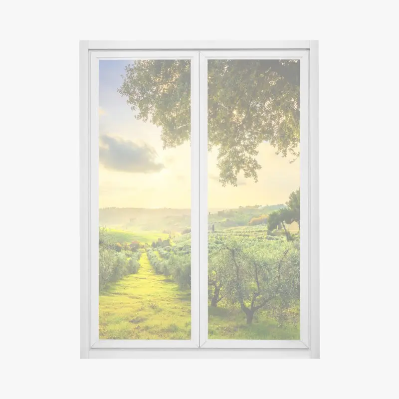 Fensteraufkleber olivenhain bei sonnenuntergang in Maremma, Toskana