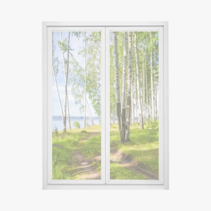 Fensteraufkleber sonnige birkenlichtung am wasser