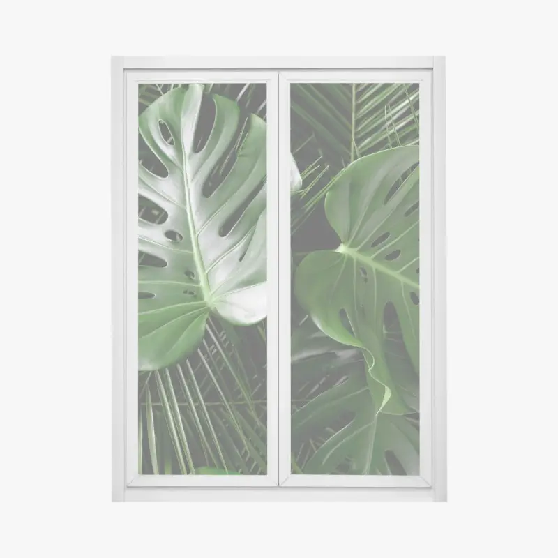 Fensteraufkleber üppige monstera-blätter