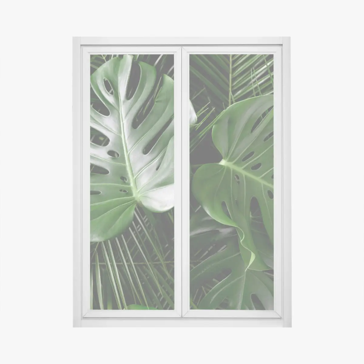 Fensteraufkleber üppige monstera-blätter – Pixers®