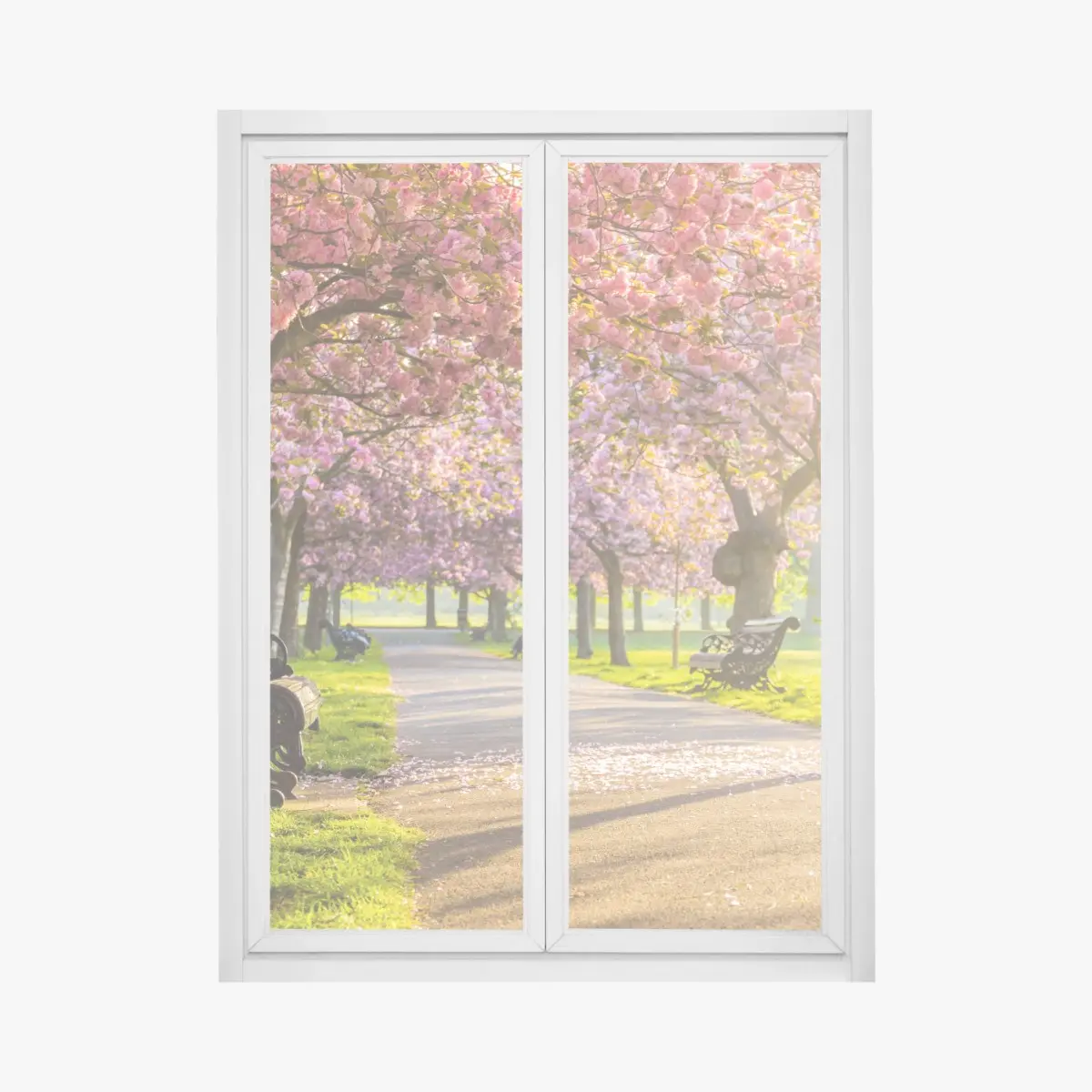 Fensteraufkleber kirschblütenallee im frühling – Pixers®