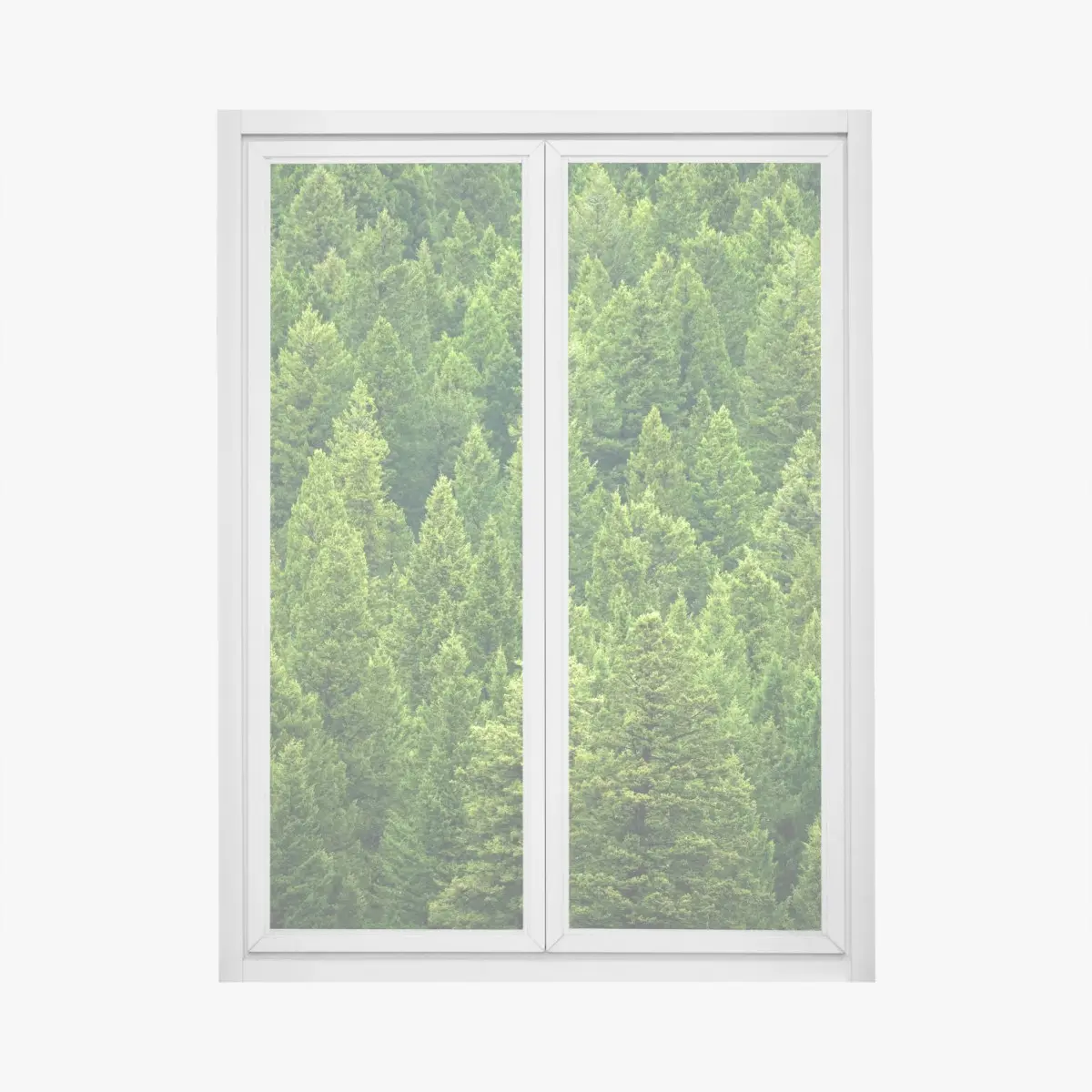 Fensteraufkleber üppige kronen eines kieferwaldes – Pixers®