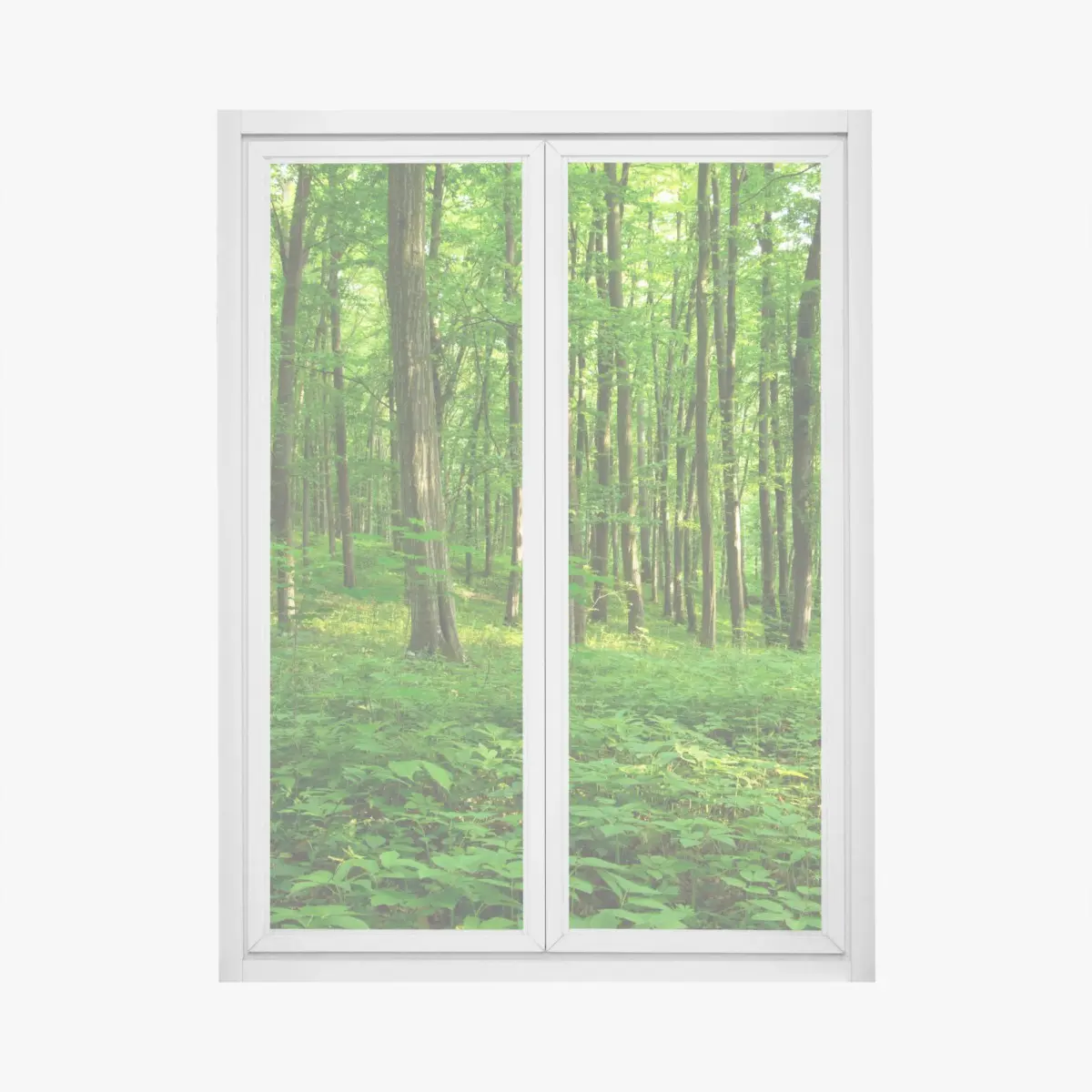 Fensteraufkleber sonniger grüner wald im frühling – Pixers®