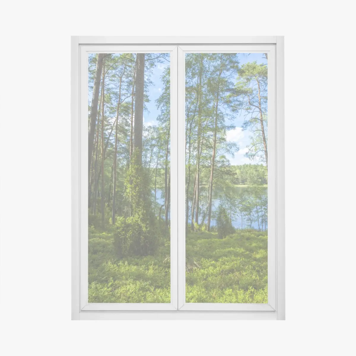 Fensteraufkleber ruhiger kiefernwald am see – Pixers®
