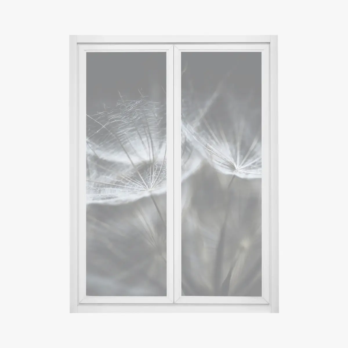 Fensteraufkleber zarte löwenzahnsamen in monochrom – Pixers®