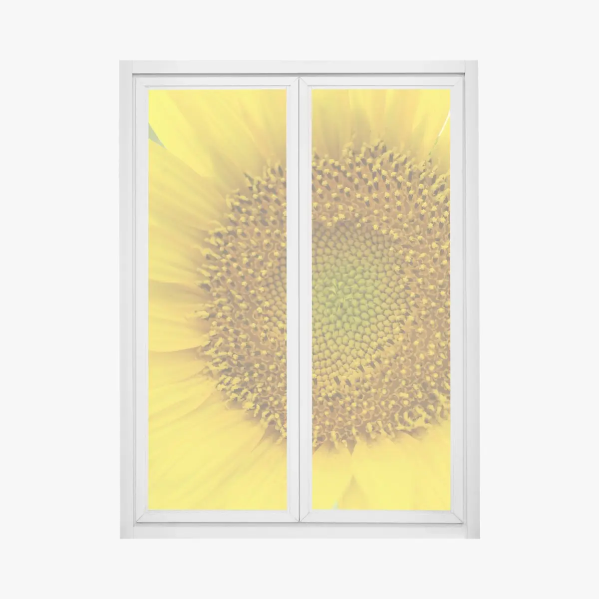Fensteraufkleber leuchtende nahaufnahme sonnenblume – Pixers®