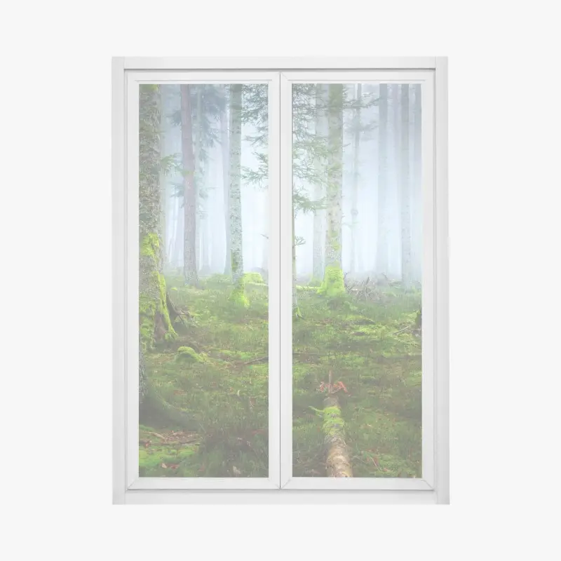 Fensteraufkleber nebliger kiefernwald aus dem Elsass