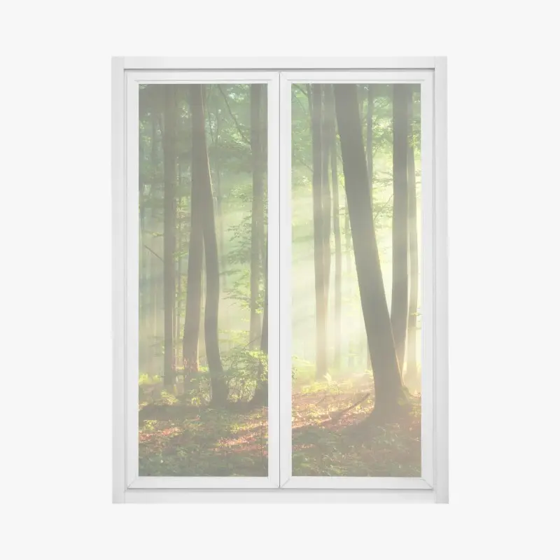 Fensteraufkleber sonnenbeschienener morgenwald
