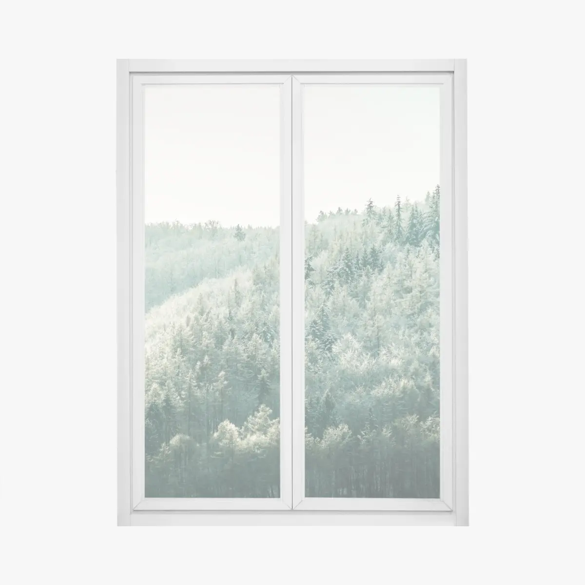 Fensteraufkleber nebliger reifbedeckter wald – Pixers®