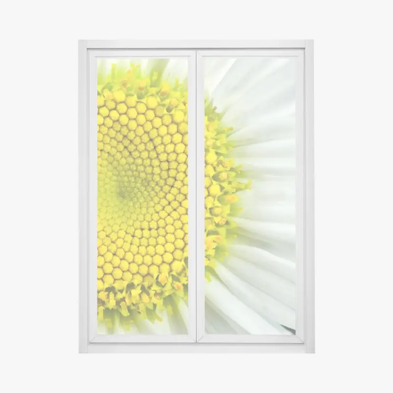 Fensteraufkleber makro gänseblümchen spiralmuster