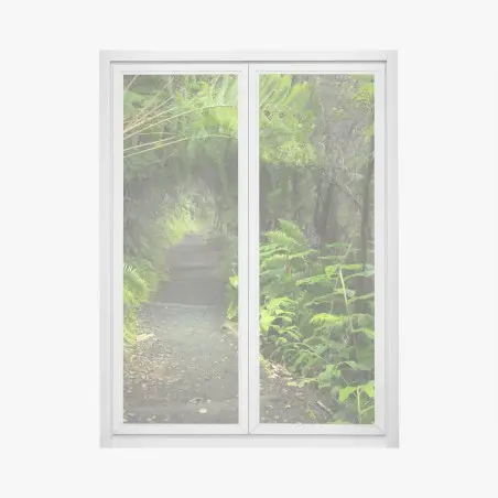 Fensteraufkleber üppiger regenwaldpfad im Kilauea Iki, Hawaii – Pixers®