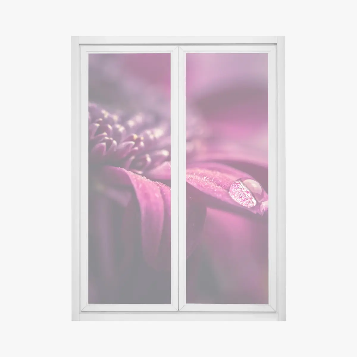 Fensteraufkleber lila makroblüte mit tautropfen – Pixers®