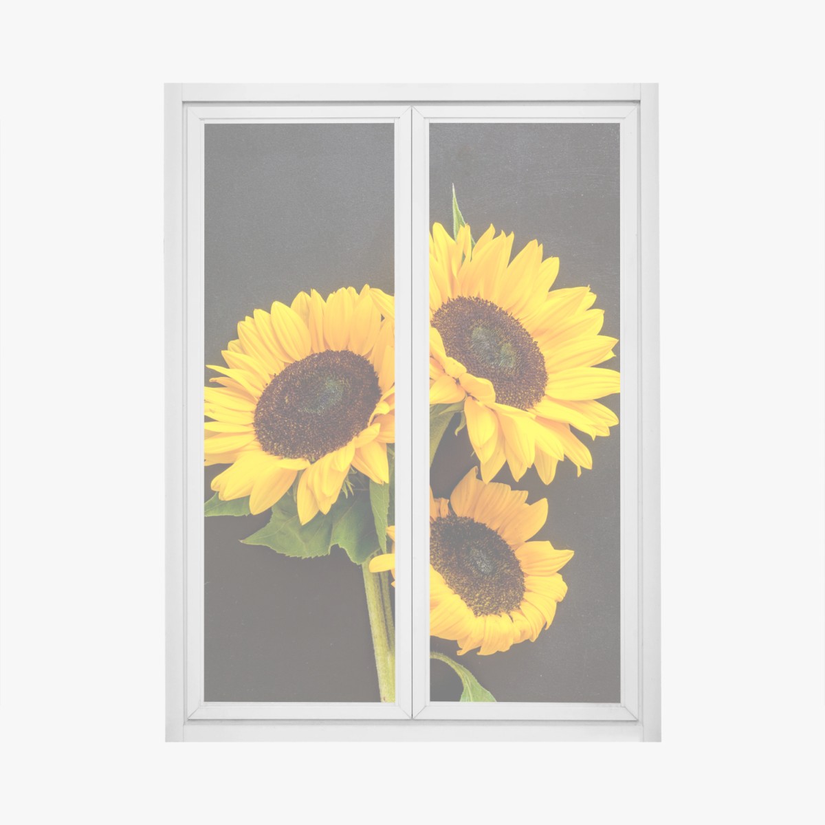 Fensteraufkleber leuchtende sonnenblumen auf schwarzem hintergrund – Pixers®
