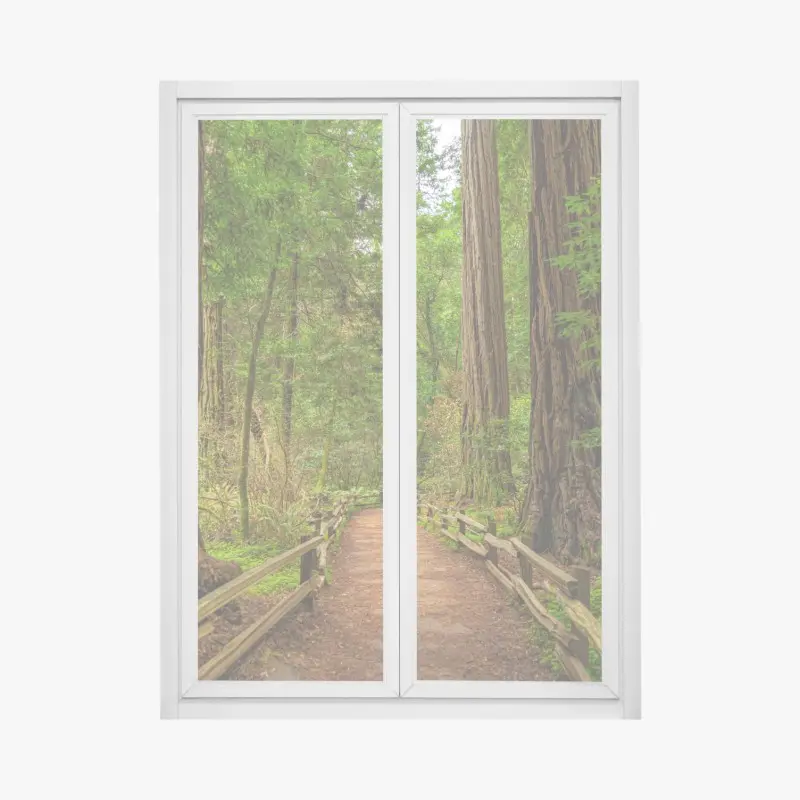 Fensteraufkleber majestätischer waldpfad zwischen mammutbäumen