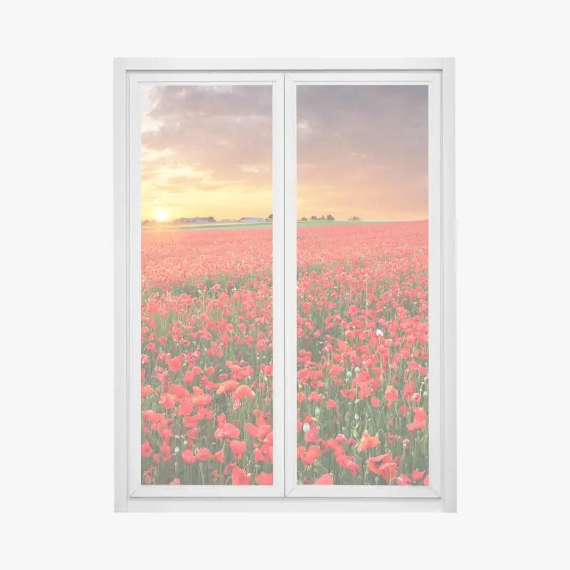 Fensteraufkleber mohnfeld im sonnenuntergang