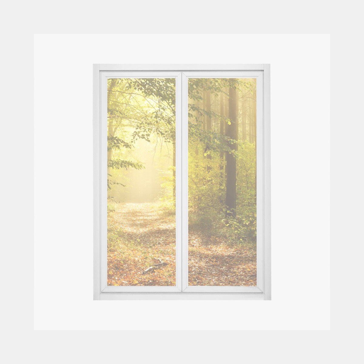 Fensteraufkleber sonnenbeschienener waldweg im herbst – Pixers®