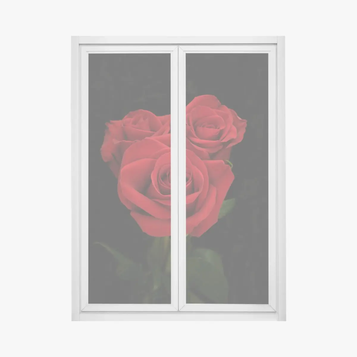 Fensteraufkleber rote rosen vor schwarzem hintergrund – Pixers®