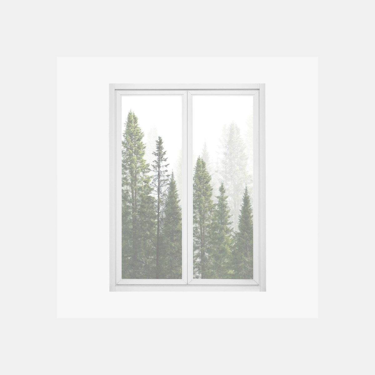 Fensteraufkleber nebliger tannenwald – Pixers®