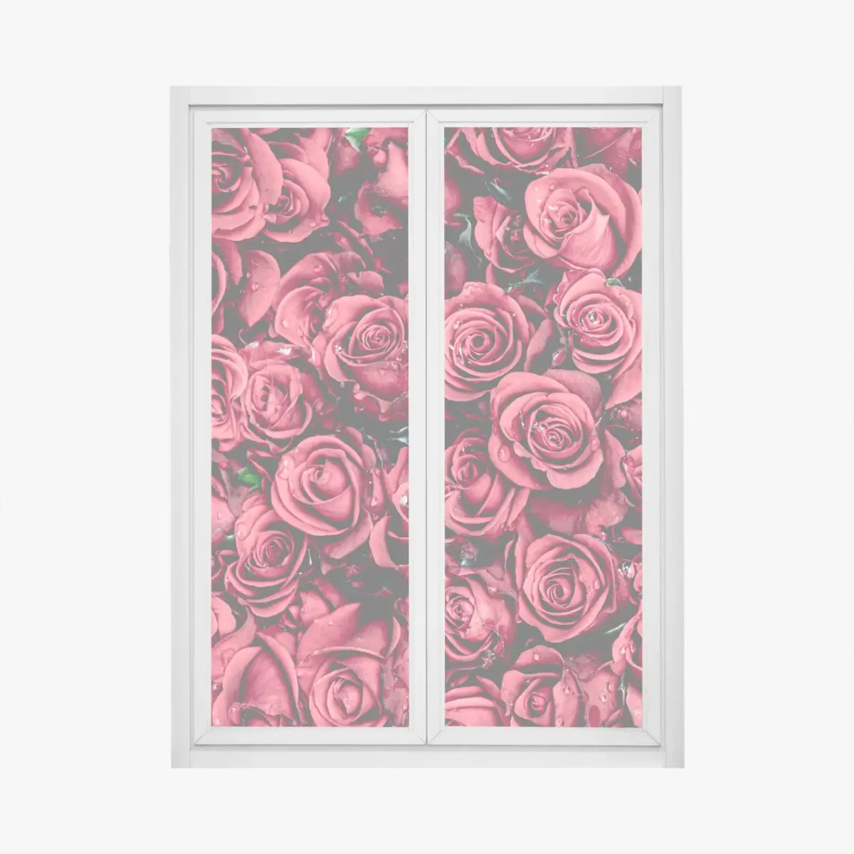 Fensteraufkleber pralle rote rosen wandbild – Pixers®