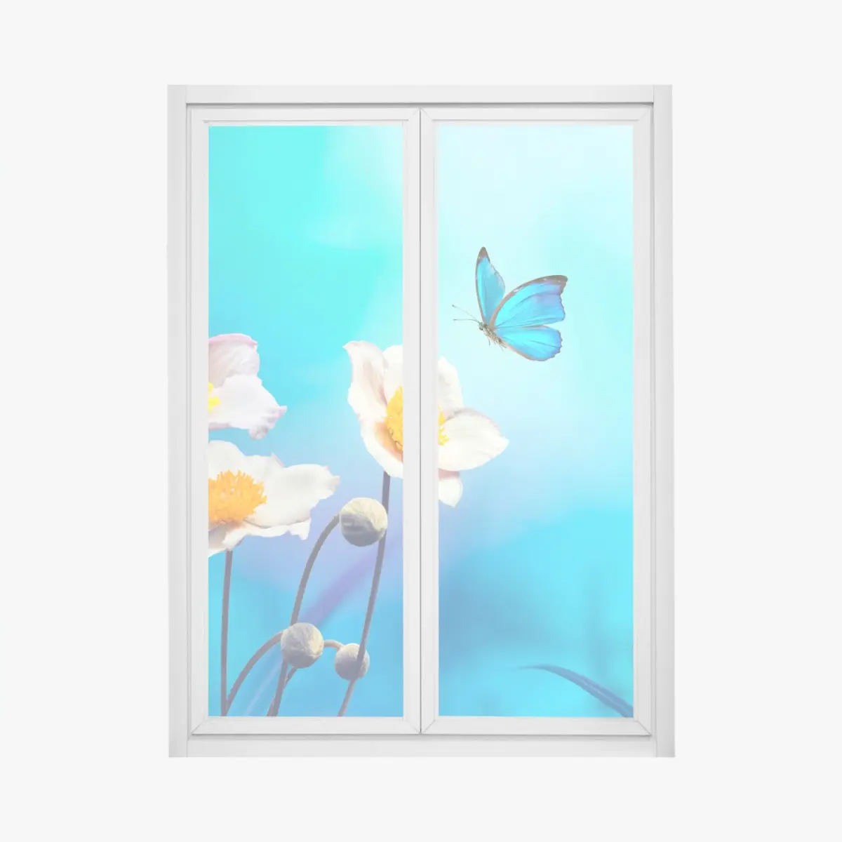 Fensteraufkleber zarte rosa anemonen und blauer schmetterling – Pixers®