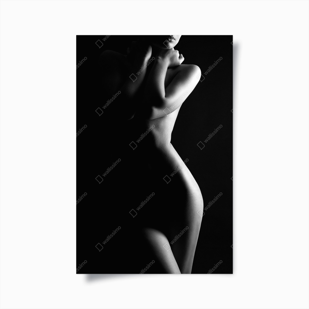 Poster sinnliche silhouette weiblicher form – Pixers®
