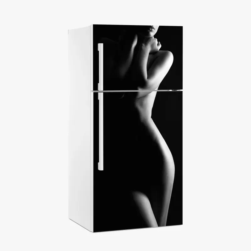 Kühlschrankaufkleber sinnliche silhouette weiblicher form