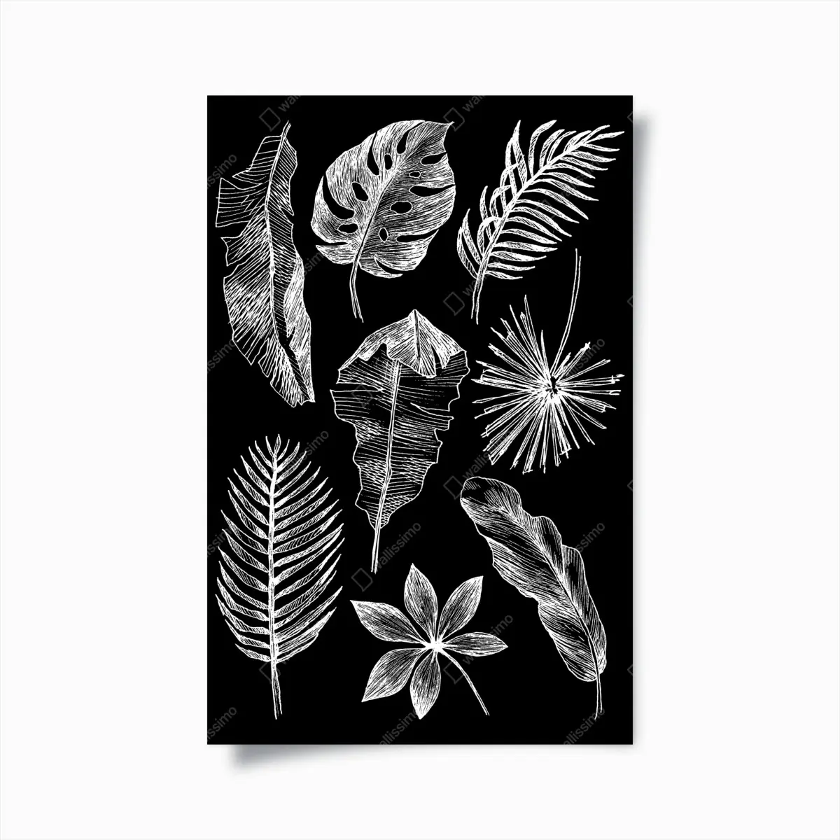 Poster monochrome blattkomposition – Pixers®