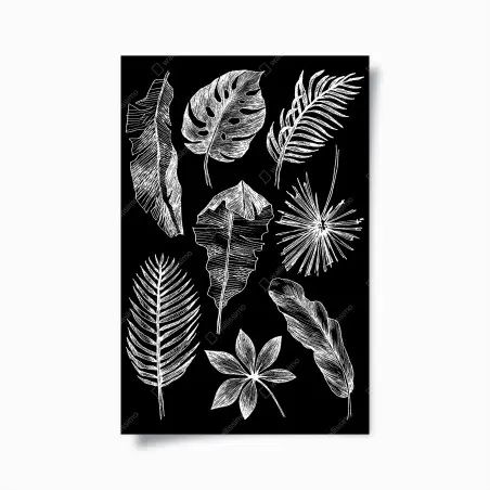 Poster monochrome blattkomposition – Pixers®