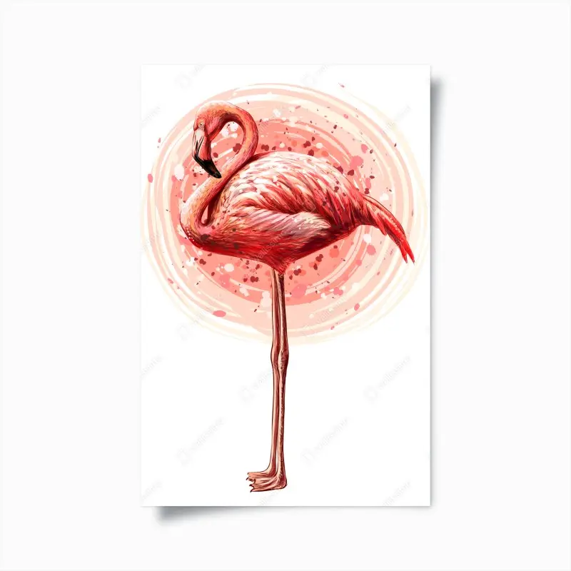 Poster zarte rosa flamingo aquarell-illustration