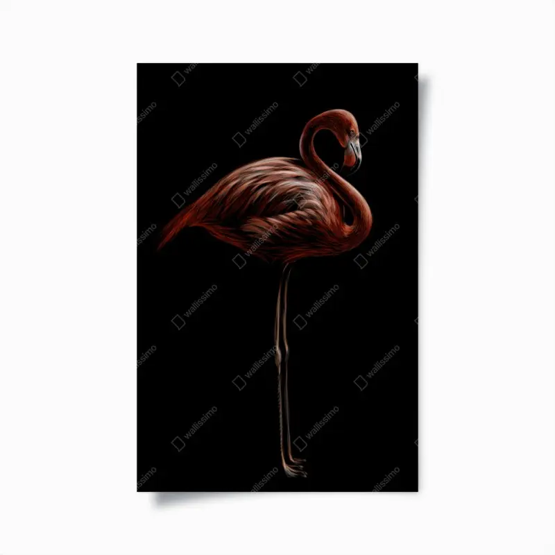 Poster eleganter roter flamingo vor schwarzem hintergrund