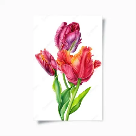 Poster leuchtende rosa tulpen in aquarell – Pixers®