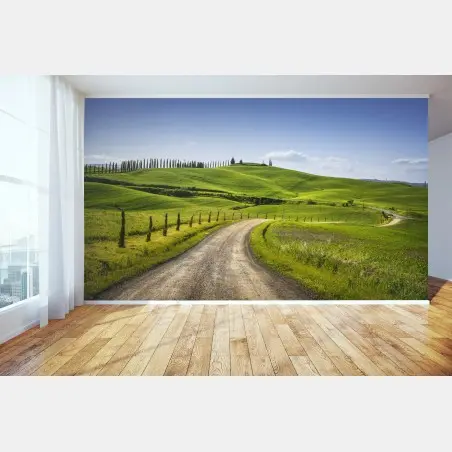 Fototapete ländliche straße in der Toskana durch grüne hügel – Pixers®