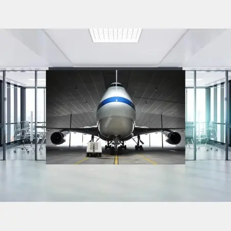 Fototapete frachter im hangar - frontansicht des jets – Pixers®
