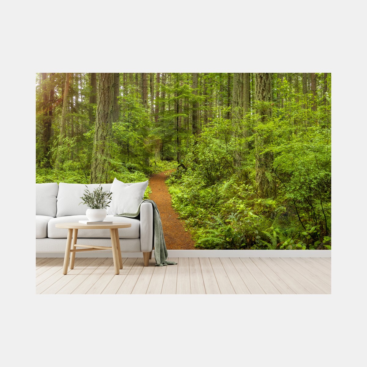 Fototapete friedlicher waldpfad – Pixers®