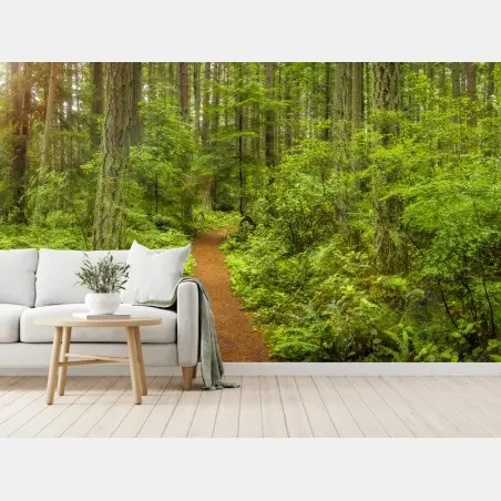 Fototapete friedlicher waldpfad – Pixers®