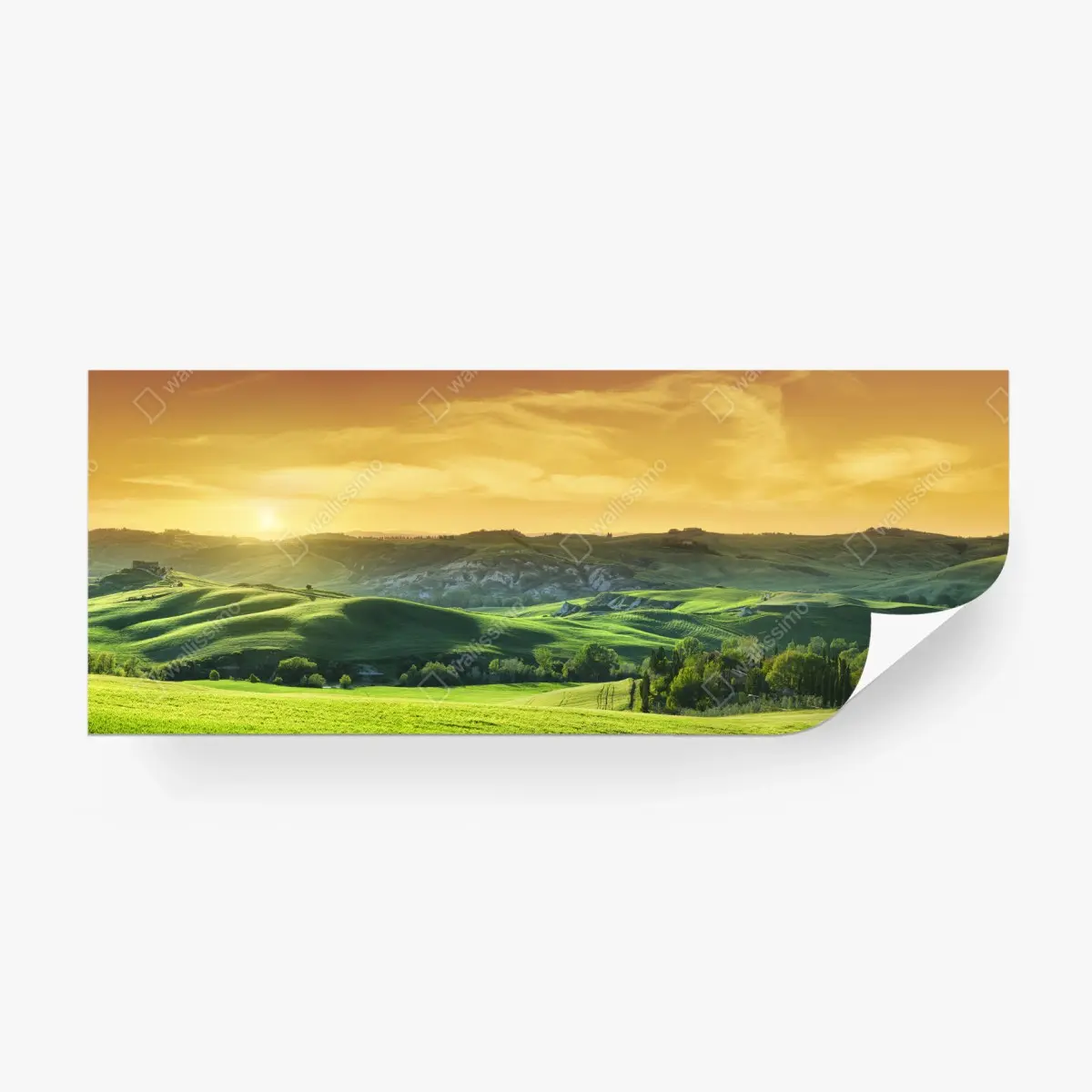 Fototapete Toskana hügel im sonnenuntergang – Pixers®
